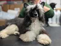 processed/3e5cdf02-e292-4ddb-804f-d756d250b550/listing/cc9adcd4-6cdb-4f92-bd9a-591c0cdd8d9c/c6101979-88e2-456f-9f47-67f93b2b4bbb