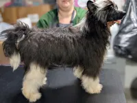 processed/3e5cdf02-e292-4ddb-804f-d756d250b550/listing/cc9adcd4-6cdb-4f92-bd9a-591c0cdd8d9c/db229a72-82f9-4d1a-b848-8c620d082e24