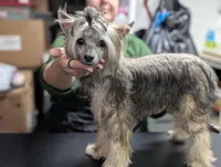 processed/3e5cdf02-e292-4ddb-804f-d756d250b550/listing/ee6b2265-bedc-4efd-859d-edd755aac0dd/119c6bf8-4424-49e2-b419-5486389afffe