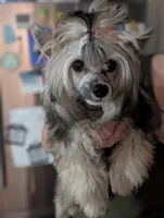 processed/3e5cdf02-e292-4ddb-804f-d756d250b550/listing/ee6b2265-bedc-4efd-859d-edd755aac0dd/2aae17bd-d14f-40c8-a297-cc2bdcfda0a4