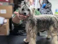 processed/3e5cdf02-e292-4ddb-804f-d756d250b550/listing/ee6b2265-bedc-4efd-859d-edd755aac0dd/47fbd597-467a-4210-9b43-a13895f6cb9d