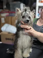 processed/3e5cdf02-e292-4ddb-804f-d756d250b550/listing/ee6b2265-bedc-4efd-859d-edd755aac0dd/6eee0721-ceba-4ac4-9486-24aae5cd527a