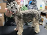 processed/3e5cdf02-e292-4ddb-804f-d756d250b550/listing/ee6b2265-bedc-4efd-859d-edd755aac0dd/9a32c416-7ab1-44b8-a1e0-1f755ab30ad0