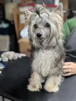 processed/3e5cdf02-e292-4ddb-804f-d756d250b550/listing/ee6b2265-bedc-4efd-859d-edd755aac0dd/a247adca-56ce-4ebb-9252-839567a9bc08