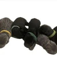 processed/3e5f5cdd-6e53-4ab1-a93d-7013ab5cb729/facility/0bb3aa68-003d-4c2d-ae65-c8185887ebb7