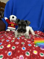 processed/3e6c224d-6e89-415e-8366-b887617508f2/listing/85f37512-d7e8-4622-a7cf-29b3a0507c27/5cc8b7b6-aa77-4114-8895-a9bc7948f9f4