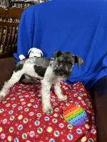 processed/3e6c224d-6e89-415e-8366-b887617508f2/listing/85f37512-d7e8-4622-a7cf-29b3a0507c27/5ee41c5b-dd71-45b8-9542-0ccb02e801e8