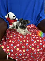 processed/3e6c224d-6e89-415e-8366-b887617508f2/listing/85f37512-d7e8-4622-a7cf-29b3a0507c27/b478c13a-8218-4a9c-8a24-cb73ddec35b0