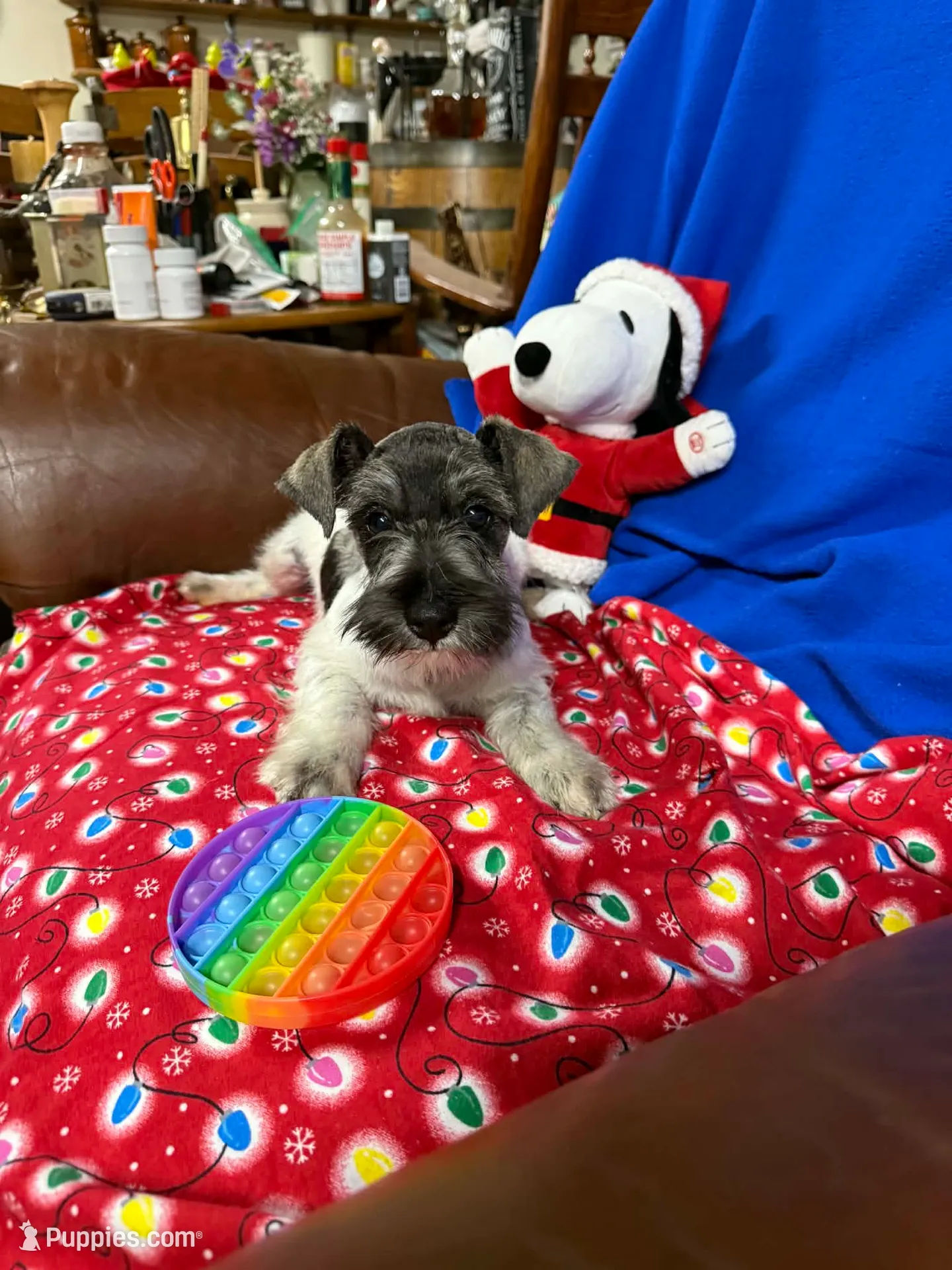 processed/3e6c224d-6e89-415e-8366-b887617508f2/listing/85f37512-d7e8-4622-a7cf-29b3a0507c27/c3a1f1be-3258-412a-a138-d1d72242cc82