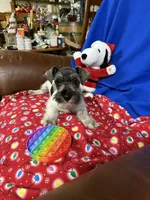 processed/3e6c224d-6e89-415e-8366-b887617508f2/listing/85f37512-d7e8-4622-a7cf-29b3a0507c27/eb1f8c16-2010-4f47-bb60-fe81140039fb