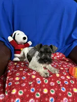 processed/3e6c224d-6e89-415e-8366-b887617508f2/listing/85f37512-d7e8-4622-a7cf-29b3a0507c27/f9540dde-48b8-4873-95e5-cb13c7da9b96