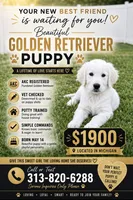 Willow , a female English Cream Golden Retriever for sale in Trenton, MI – 1 of 1