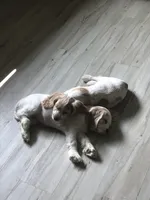 processed/3e7480c7-8465-4123-9255-2d9117e1c15e/facility/2de75a96-939c-4197-b0ba-b9f91fbefa15