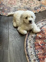 processed/3e7480c7-8465-4123-9255-2d9117e1c15e/facility/4635d114-2b0e-48bc-abcc-1524b009bd8d