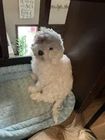 processed/3e7480c7-8465-4123-9255-2d9117e1c15e/facility/4d9a057b-5085-46ff-a1c7-da8b61488330