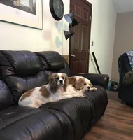 processed/3e7480c7-8465-4123-9255-2d9117e1c15e/facility/52263e1e-3e77-4690-a55f-cb286953be60