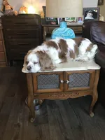 processed/3e7480c7-8465-4123-9255-2d9117e1c15e/facility/57f5a917-a4e8-4b67-8222-2fe8bfe1d0d7