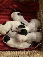 processed/3e7480c7-8465-4123-9255-2d9117e1c15e/facility/7f7abdfa-c65e-42d9-ad7c-6d0286ad5363