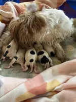 processed/3e7480c7-8465-4123-9255-2d9117e1c15e/facility/98c02b9b-c0fc-4298-bfc0-38c78e5cad53