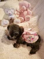 processed/3e75cfcd-168d-49b2-830c-6a780107d505/facility/141f4282-1a7f-4d38-b4a1-10313fd50dc1