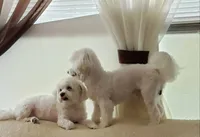 processed/3e75cfcd-168d-49b2-830c-6a780107d505/facility/7e92be1d-791d-43f3-a6d8-3d263565ecfa