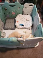 processed/3e75cfcd-168d-49b2-830c-6a780107d505/facility/b6a1ccb0-b3e1-4417-81d2-0902dfc210a1