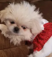 processed/3e75cfcd-168d-49b2-830c-6a780107d505/facility/f444f011-2c4e-4d99-a169-3465581b7898