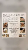 River, a male Golden Retriever for sale in Norco, CA – 2 of 4