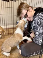 Hurricane - Long Hair Basenji, a male Miniature Schnauzer and Basenji for sale in Spanish Fork, UT – Photo 3 of 10