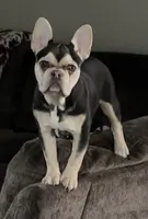 processed/3e8752fa-f3c4-4170-8b1d-998f856f8da2/listing/3bb99896-3a9e-403b-a9ee-4bf4e727bafb/1cadecdb-9fff-4272-b183-5bd01abf2b7a