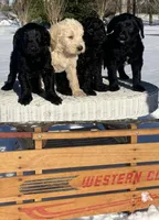 processed/3e8945c3-2686-48c9-8c74-85154b7b1d67/listing/0adb7658-70c0-4adf-93ff-ed34c2ba7e94/4e5e1299-6841-4aef-841d-9980f96615f2