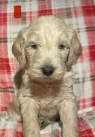 processed/3e8945c3-2686-48c9-8c74-85154b7b1d67/listing/0adb7658-70c0-4adf-93ff-ed34c2ba7e94/be2c066b-212e-4a42-9221-5972dd3b8277