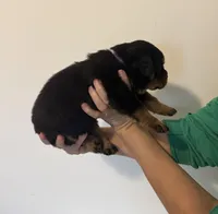 processed/3e996ce3-ff68-4df9-bfb5-52acfc147323/listing/17492208-f257-4f6f-8b1c-296dd5266626/2731ca13-0c5e-456b-a2de-250b4471935c