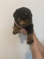 processed/3e996ce3-ff68-4df9-bfb5-52acfc147323/listing/17492208-f257-4f6f-8b1c-296dd5266626/94ea0677-4191-4bf3-bf84-335164503cba