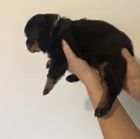 processed/3e996ce3-ff68-4df9-bfb5-52acfc147323/listing/17492208-f257-4f6f-8b1c-296dd5266626/bc5584ef-e77d-41ce-b5f0-439b6189df2a