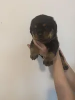 processed/3e996ce3-ff68-4df9-bfb5-52acfc147323/listing/4d8e4d7f-4f58-4b66-b310-80751b53228e/23743464-5415-468d-9f35-ba6404f8ef5c