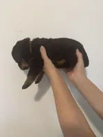 processed/3e996ce3-ff68-4df9-bfb5-52acfc147323/listing/4d8e4d7f-4f58-4b66-b310-80751b53228e/afac2223-a4b5-4096-9bc3-292312e76df9