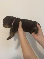 processed/3e996ce3-ff68-4df9-bfb5-52acfc147323/listing/b42ab6b5-1233-4e0b-899b-becc34d81b7e/00e62898-2123-4dc7-b560-fc3ce6de6a72