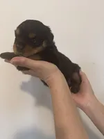 processed/3e996ce3-ff68-4df9-bfb5-52acfc147323/listing/b42ab6b5-1233-4e0b-899b-becc34d81b7e/04e05ad9-bf8e-452e-b454-496acedb2ca8