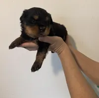 processed/3e996ce3-ff68-4df9-bfb5-52acfc147323/listing/b42ab6b5-1233-4e0b-899b-becc34d81b7e/1dfb8280-4f24-4584-bead-77b322cd1e3c