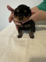 processed/3e996ce3-ff68-4df9-bfb5-52acfc147323/listing/b42ab6b5-1233-4e0b-899b-becc34d81b7e/a3f702eb-96ce-40f7-a7d2-e17737d9de61