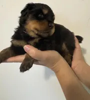 processed/3e996ce3-ff68-4df9-bfb5-52acfc147323/listing/b42ab6b5-1233-4e0b-899b-becc34d81b7e/df041219-8a17-4cce-8615-7c8f2436a089