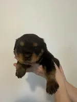 processed/3e996ce3-ff68-4df9-bfb5-52acfc147323/listing/b42ab6b5-1233-4e0b-899b-becc34d81b7e/ebce6c95-b437-48c4-8c82-558fcbc2c492