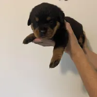 processed/3e996ce3-ff68-4df9-bfb5-52acfc147323/listing/b78f911b-e1c0-4f04-9ce1-38fbf600994b/93fc5d35-4b3e-4157-9c18-afb46eacf763