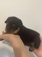 processed/3e996ce3-ff68-4df9-bfb5-52acfc147323/listing/df7daba6-ddaa-40f8-90a8-339652b136ff/c24e3674-8076-4298-bdd9-db1bb2cc2b82