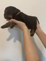 processed/3e996ce3-ff68-4df9-bfb5-52acfc147323/listing/dfb14c26-e533-4d44-8b29-298d4015c61b/29af1162-285f-41de-beed-d529aa48245a