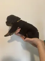 processed/3e996ce3-ff68-4df9-bfb5-52acfc147323/listing/dfb14c26-e533-4d44-8b29-298d4015c61b/384ad302-dc96-464c-9709-eb5edd35dce6