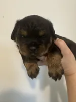 processed/3e996ce3-ff68-4df9-bfb5-52acfc147323/listing/dfb14c26-e533-4d44-8b29-298d4015c61b/6d6805f3-39b2-4663-b53b-7524c04964ee