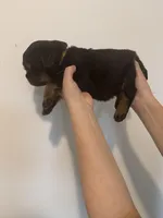 processed/3e996ce3-ff68-4df9-bfb5-52acfc147323/listing/dfb14c26-e533-4d44-8b29-298d4015c61b/b25eb5e4-ee15-4eb1-9742-401227900ec8