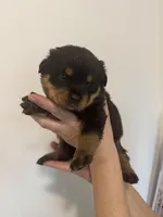 processed/3e996ce3-ff68-4df9-bfb5-52acfc147323/listing/f9b4ead0-872d-414f-90bb-2b36343eb631/063ddbf4-f286-4456-9644-4057e5648d93